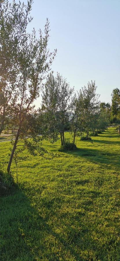 Chimera Tuscany Resort Арецо Екстериор снимка